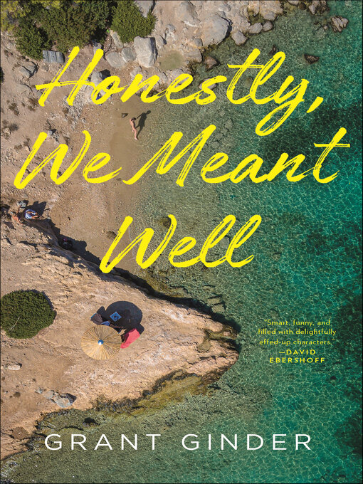 Title details for Honestly, We Meant Well by Grant Ginder - Wait list